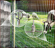 field wire mesh fence